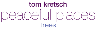 Tom Kretsch - Peaceful Places - trees